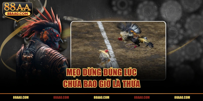 Mẹo dừng đúng lúc chưa bao giờ là thừa